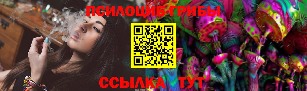 Галлюциногенные грибы Psilocybine cubensis Рассказово